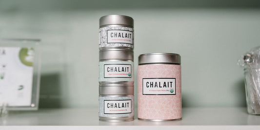 Matcha Tea and Gut Health: A Comprehensive Guide