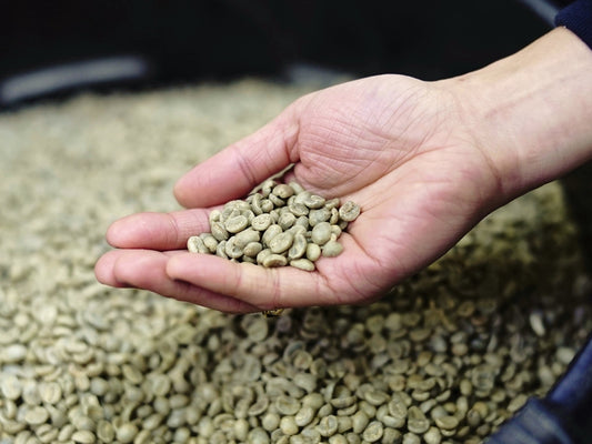 Koffy Roastery, Newry